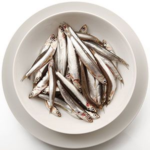 Anchovies