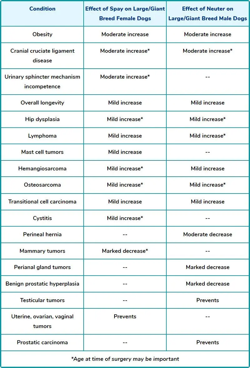 long-term health problems