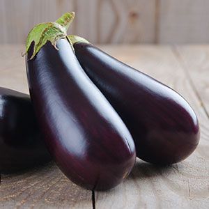 eggplant