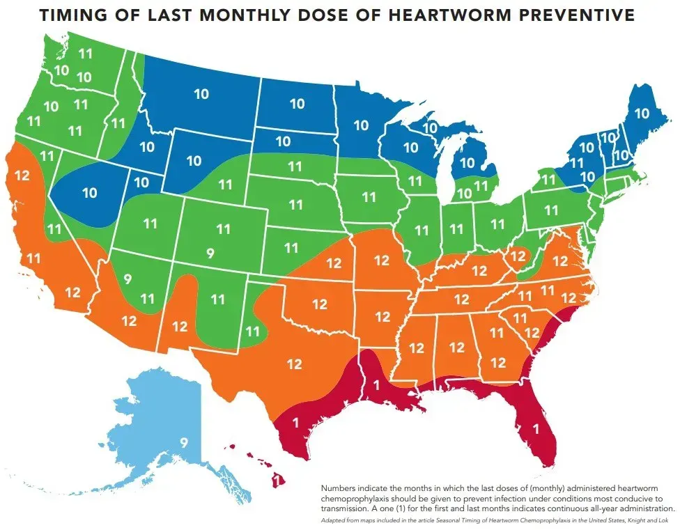 timing of last monthly dose of heartworm preventive