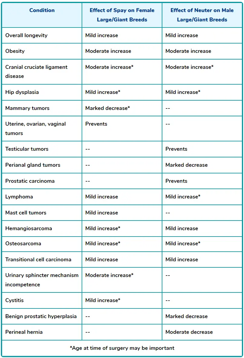 spaying and neutering effects