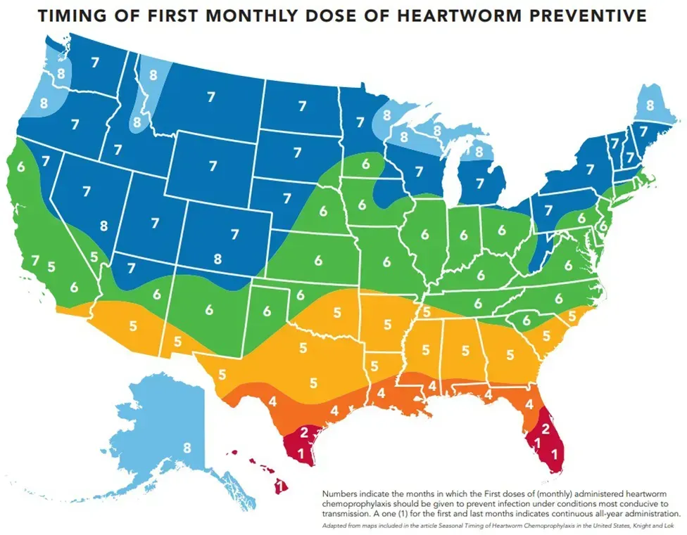 heartworm beginning map