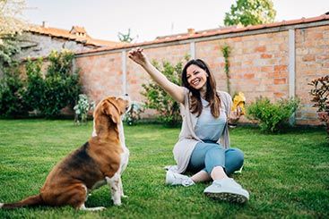 How to Create a Flea-Free, Dog-Friendly Yard