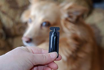 Preventives Could Contain Carcinogens