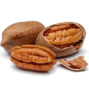 pecans fun fact