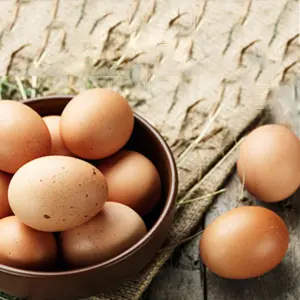 eggs