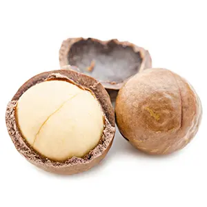 macadamia nuts