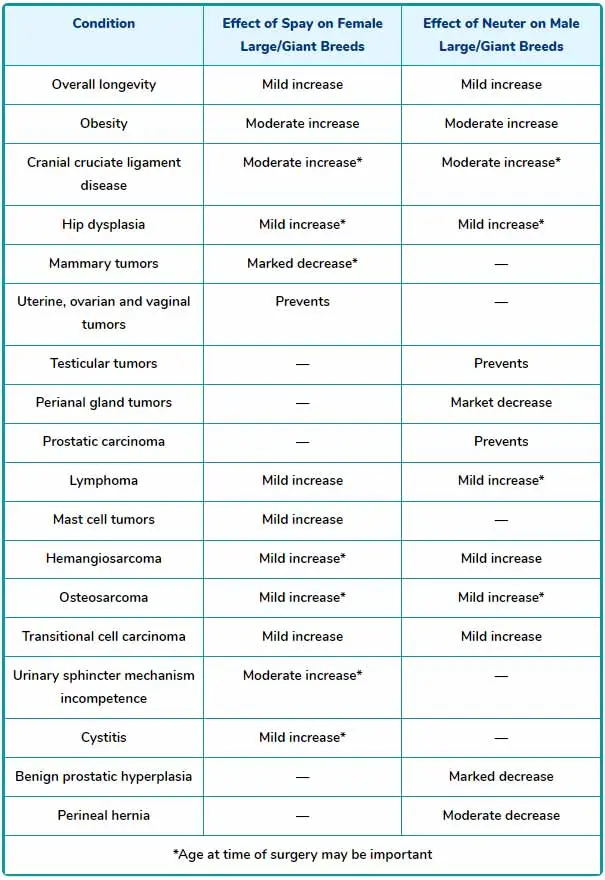 potential benefits and adverse effects of gonadectomy