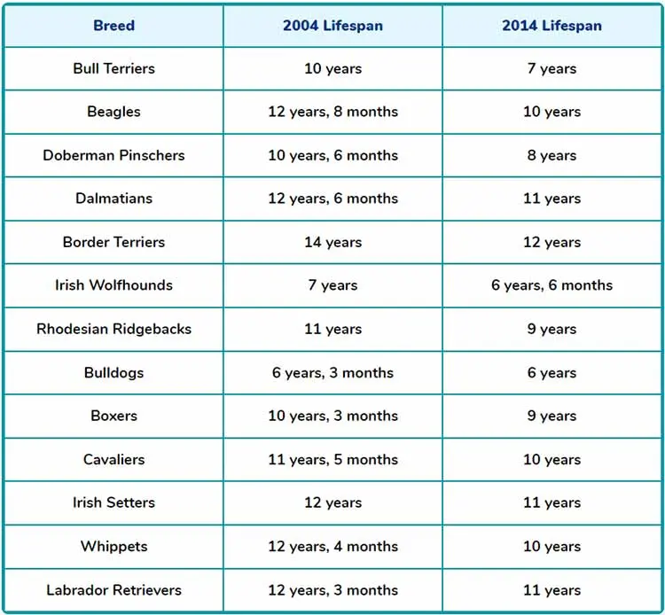 breeds with the most shocking lifespan decrease