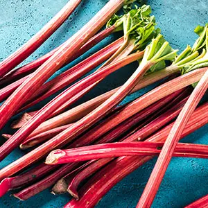 rhubarb stalks