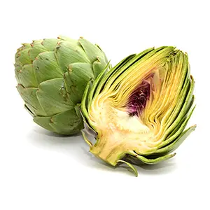 artichoke vegetable