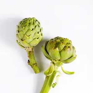 artichoke