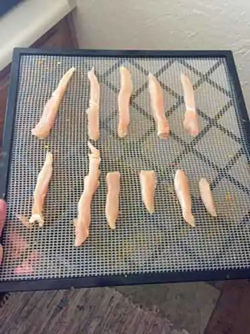 Dehydrated Chicken Strips