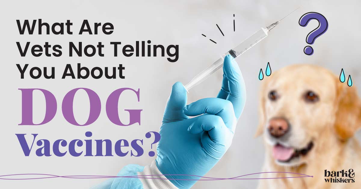 dog b12 injection side effects CATOSAL 10% Vitamin B12 Butaphosphan