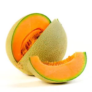 cantaloupe vs muskmelon