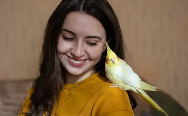 cockatiel words and phrases