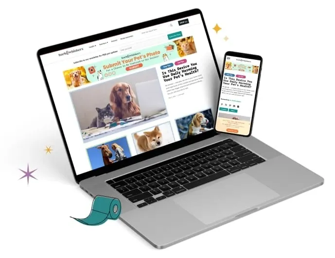 Bark & Whiskers Newsletter