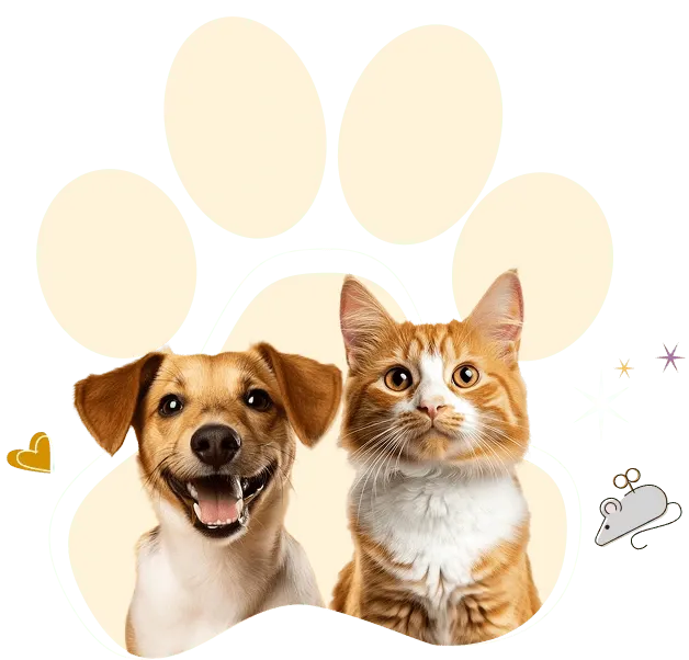 Bark & Whiskers Guide Pet's Health with Confidence