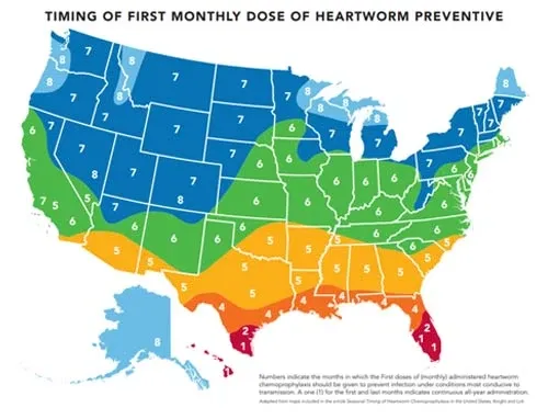 heartworm preventive first monthly dose