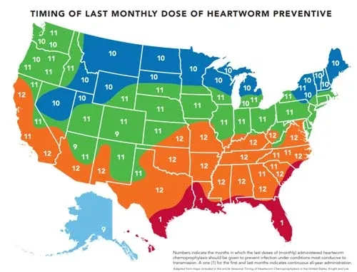 heartworm preventive last monthly dose