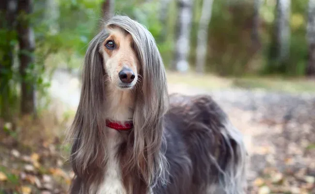 independent thinkers