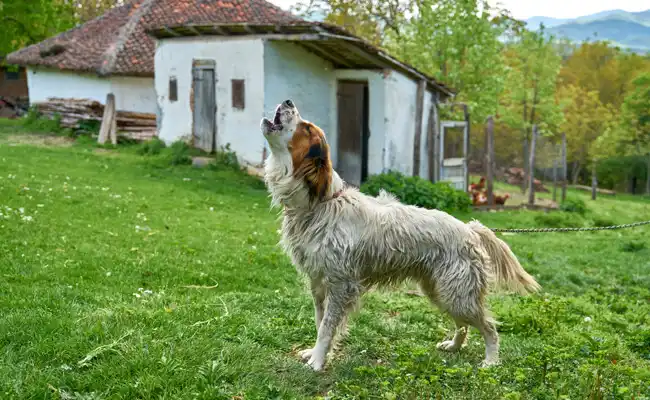 response to stimuli or as a bonding mechanism