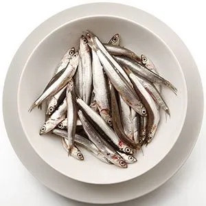 Anchovies