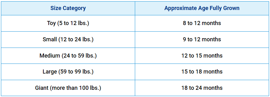 age ranges based on your pet's size