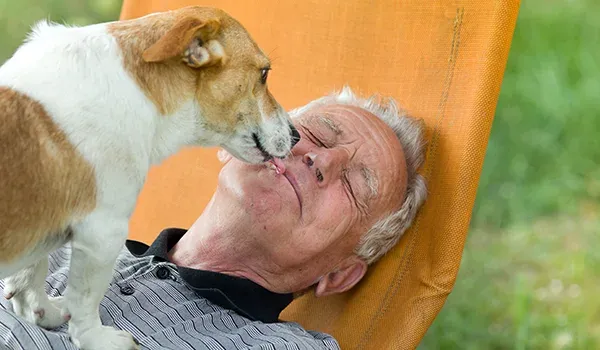 dog knows how you feel