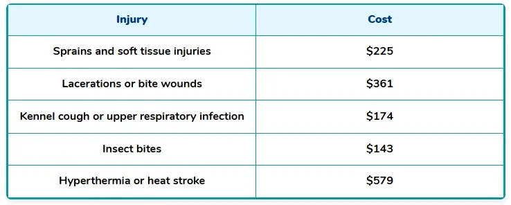 common dog park injuries