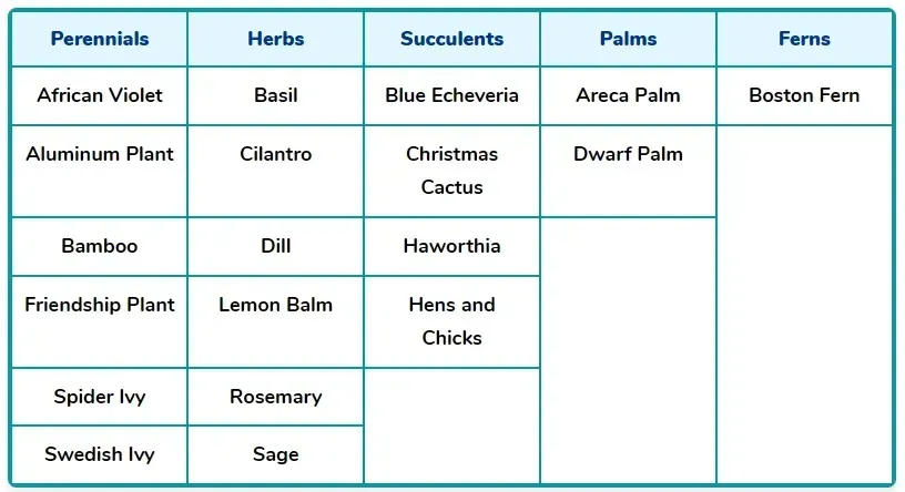 pet-safe indoor plants