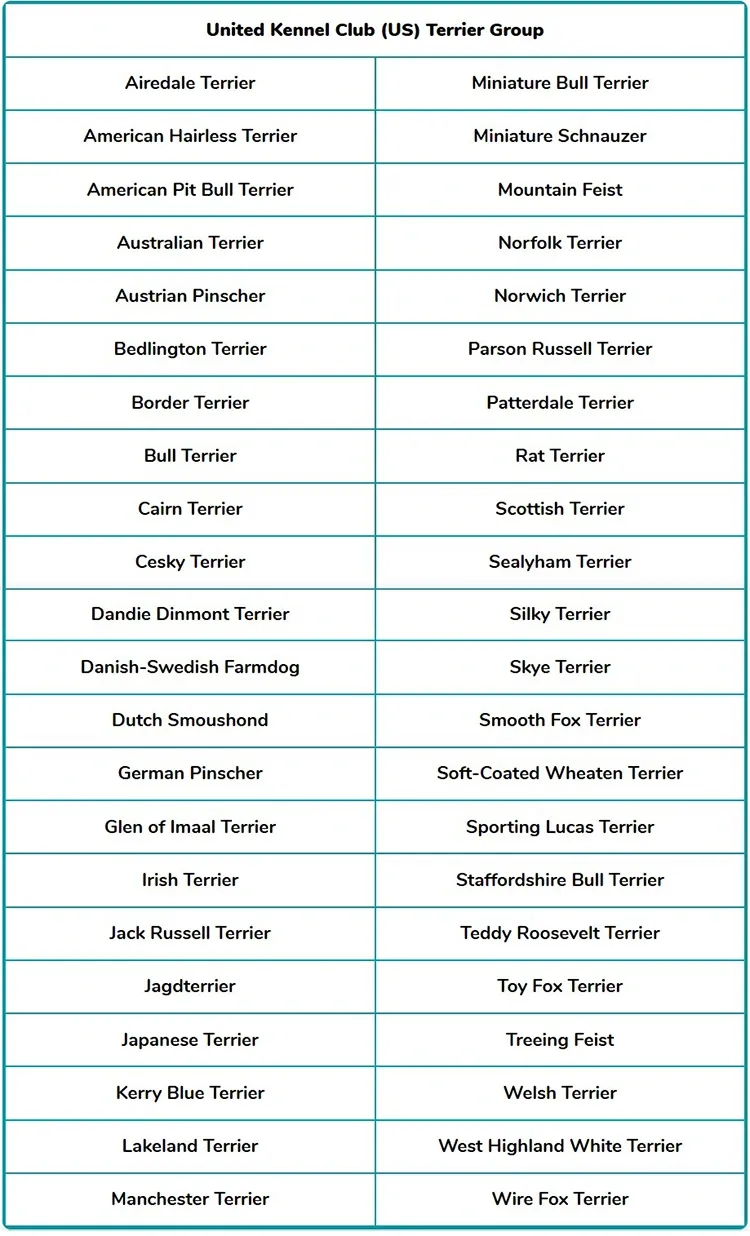 united kennel club us terrier group