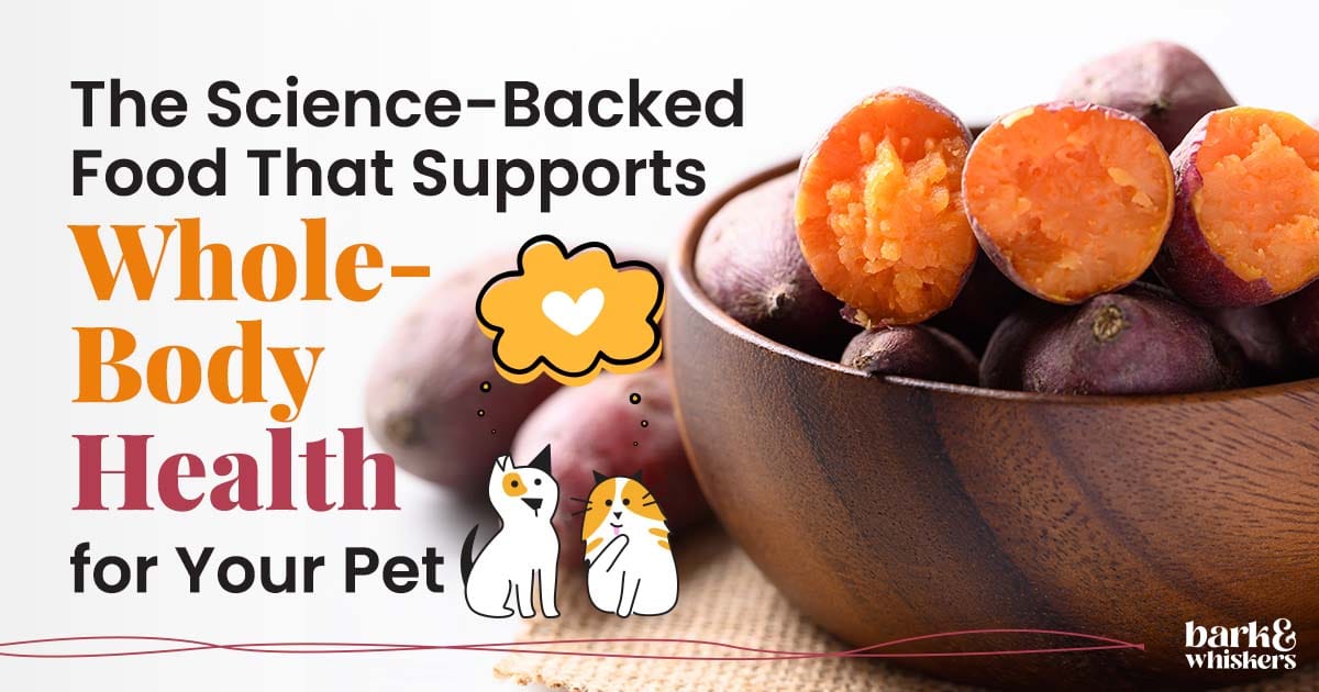 www.barkandwhiskers.com
