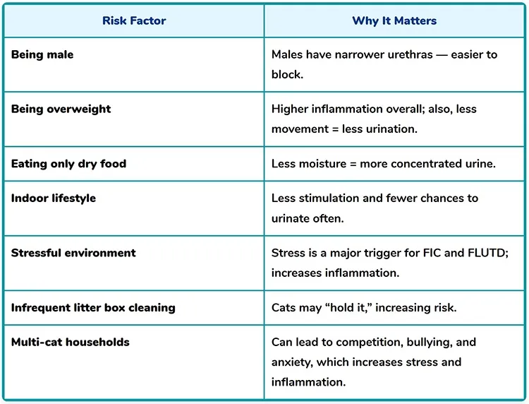 cat health factors to develop flutd