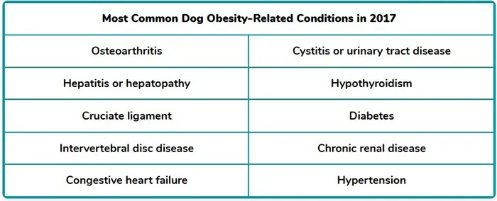 most common dog obesity related conditions in 2017