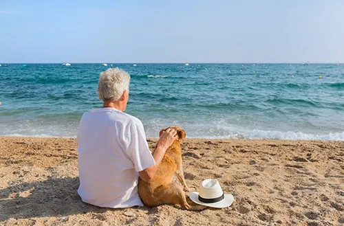 A dog can improve the quality of your life