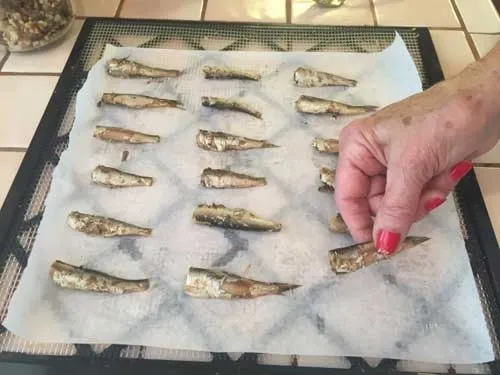 Sardines