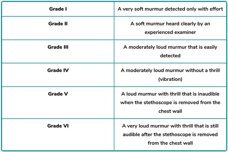 heart murmurs graded relative to loudness