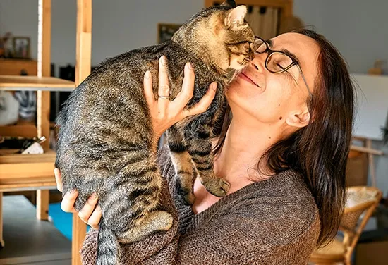 cat haters crazy cat ladies