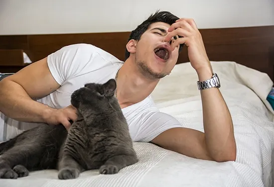 cat haters im allergic