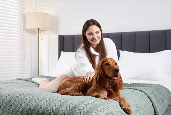 dog inside hotel