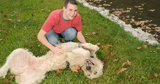 Irish Wolfhounds are quirky individualists