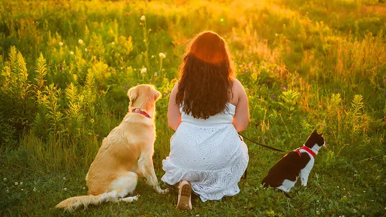 Why Your Pet Is One of the Best Things for Your Health