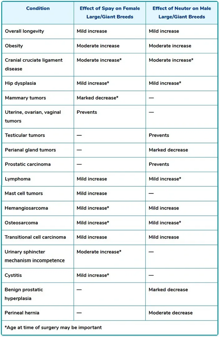 potential benefits and adverse effects of gonadectomy