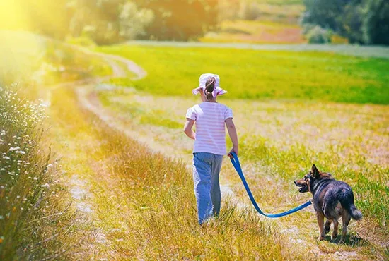 walking with dog