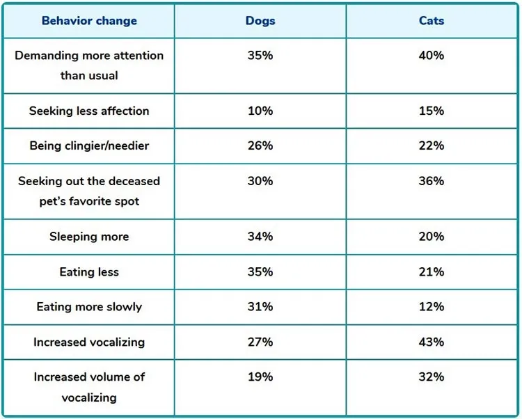 behavior change in dogs and cats