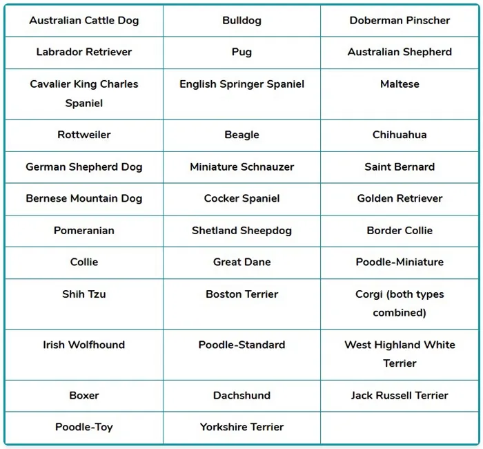 dog breeds