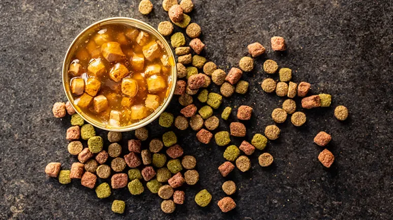 Mixing Canned Food with Kibble? Here's Why It's Not Ideal