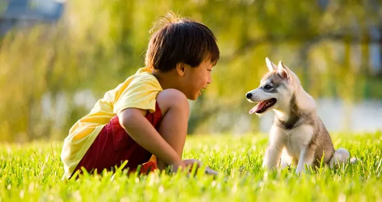 socialize your puppy