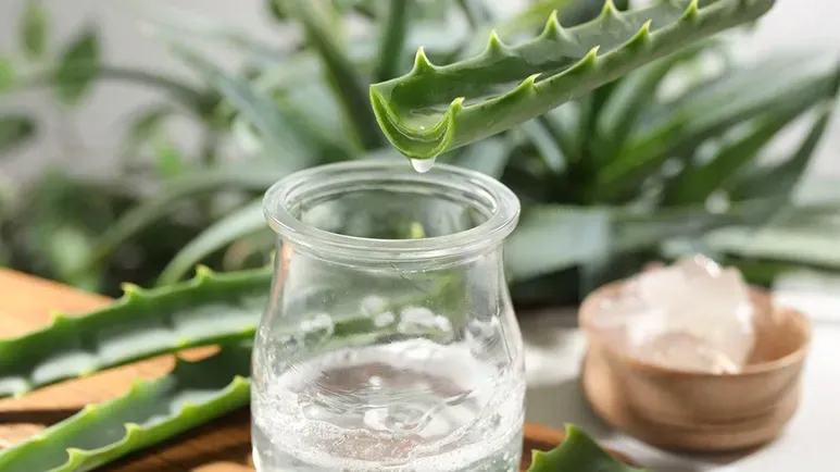 Could This Soothe Your Dog from Nose to Toes?